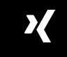 icon-xing